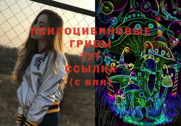 герыч Арсеньев
