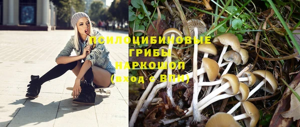 дурь Аркадак