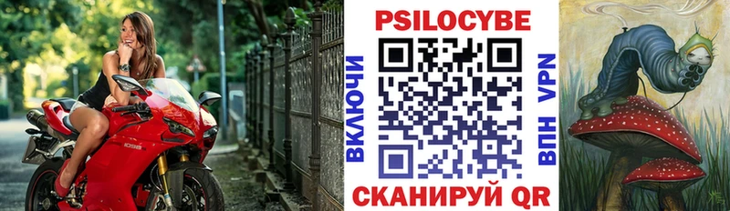 Купить закладки Лодейное Поле Галлюциногенные грибы мицелий