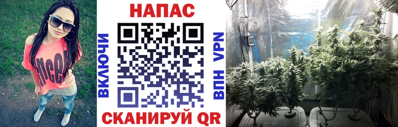 МАРИХУАНА планчик  Купить  Лодейное Поле 